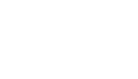 Oracle NetSuite Alliance Partner Logo